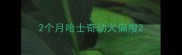 2个月哈士奇幼犬偏瘦