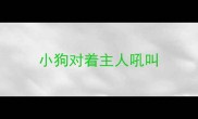 小狗对着主人吼叫