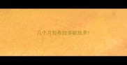 几个月拉布拉多能放养