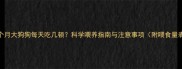 六个月大狗狗每天吃几顿科学喂养指南与注意事项附喂食量表