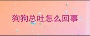 狗狗总吐怎么回事
