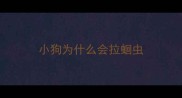 小狗为什么会拉蛔虫