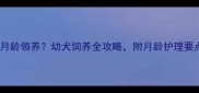 沙皮狗适合几月龄领养幼犬饲养全攻略附月龄护理要点与避坑指南