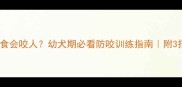 拉布拉多护食会咬人幼犬期必看防咬训练指南附3招止咬技巧