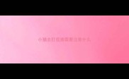 小猫去打疫苗需要注意什么