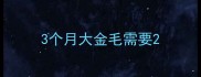 3个月大金毛需要