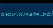 幼犬期必学拉布拉多句食训练全攻略家庭训练师亲授5步法