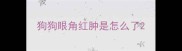 狗狗眼角红肿是怎么了