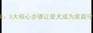 拉布拉多护主训练指南5大核心步骤让爱犬成为家庭守护者附训犬误区