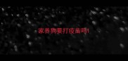 家养狗要打疫苗吗