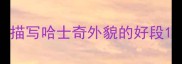 描写哈士奇外貌的好段