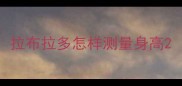 拉布拉多怎样测量身高