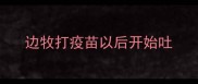 边牧打疫苗以后开始吐
