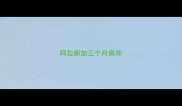 阿拉斯加三个月肩高