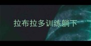 拉布拉多训练躺下