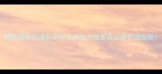 夏天猫咪洗澡后不吹干的五大危害及正确护理指南