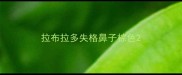 拉布拉多失格鼻子棕色