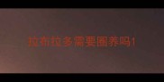 拉布拉多需要圈养吗