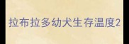 拉布拉多幼犬生存温度