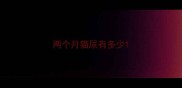 两个月猫尿有多少