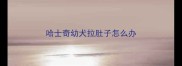 哈士奇幼犬拉肚子怎么办