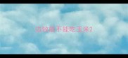 边牧能不能吃玉米