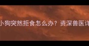 7大常见原因及应对措施小狗突然拒食怎么办资深兽医详解挑食背后的健康隐患