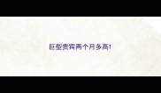 巨型贵宾两个月多高