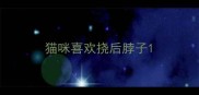 猫咪喜欢挠后脖子