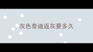 灰色泰迪返灰要多久