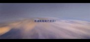 泰迪断尾尾巴发炎