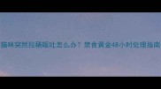 猫咪突然拉稀呕吐怎么办禁食黄金48小时处理指南