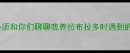 姐妹们今天必须和你们聊聊我养拉布拉多时遇到的泪痕大作战