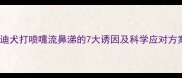 泰迪犬打喷嚏流鼻涕的7大诱因及科学应对方案
