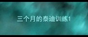 三个月的泰迪训练