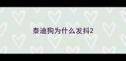 泰迪狗为什么发抖