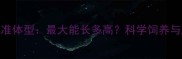 金毛犬标准体型最大能长多高科学饲养与成长指南