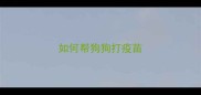 如何帮狗狗打疫苗