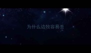 为什么边牧容易丢