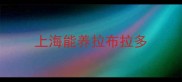 上海能养拉布拉多