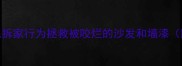5步科学纠正调皮金毛拆家行为拯救被咬烂的沙发和墙漆附训犬师实操指南
