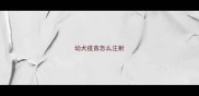 幼犬疫苗怎么注射