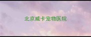 北京威卡宠物医院