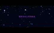哪里有哈士奇狗粮卖