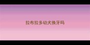 拉布拉多幼犬换牙吗