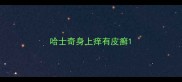 哈士奇身上痒有皮癣