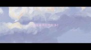 南京家养拉布拉多
