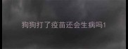 狗狗打了疫苗还会生病吗