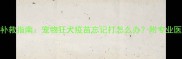 3天紧急补救指南宠物狂犬疫苗忘记打怎么办附专业医生建议