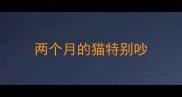 两个月的猫特别吵
